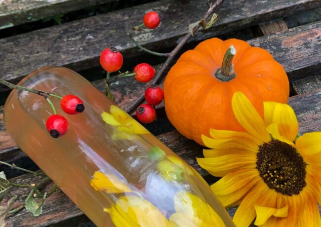 Herbst Wasserkefir mit Hagebutte Kürbis und Sonnenblumen
