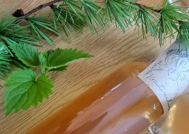 Lärchen- Brennnessel Sirup