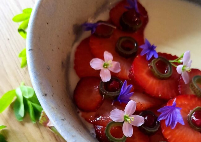 Waldmeister Panna cotta mit Staudenknöterich
