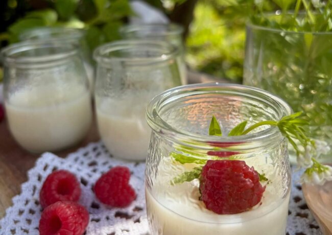 Waldmeister Pudding